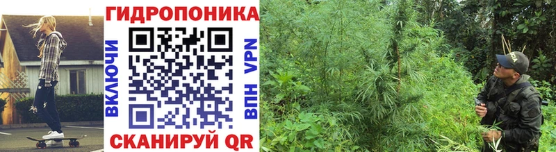 Купить наркотики цена Сясьстрой MDMA  KRAKEN зеркало  АМФЕТАМИН  ГАШ  Бошки Шишки  Меф 