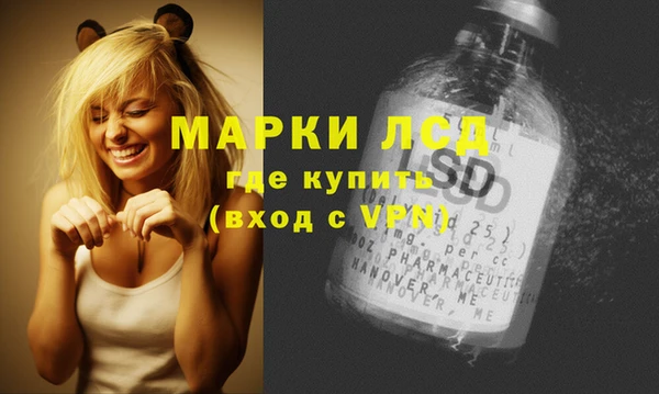 стаф Аркадак