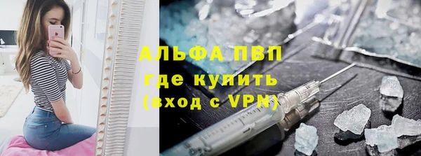 стаф Аркадак