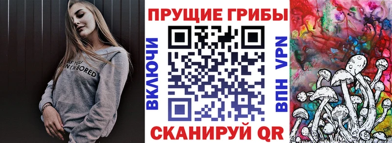 Псилоцибиновые грибы мицелий  как найти закладки  Сясьстрой 